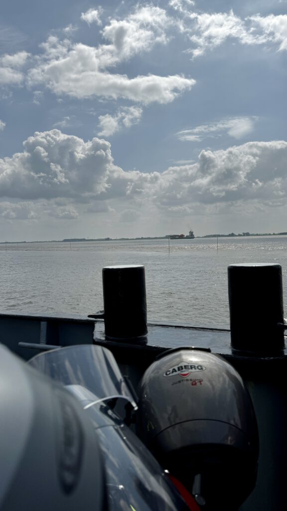 Blick auf die Elbe von der Fähre Glückstadt nach Wischhafen.